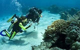 Seguro de buceo anual para buceadores habituales