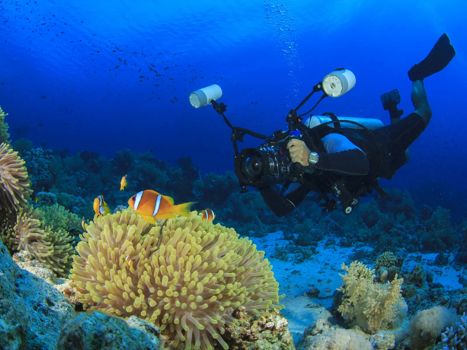 Fotografía submarina para principiantes