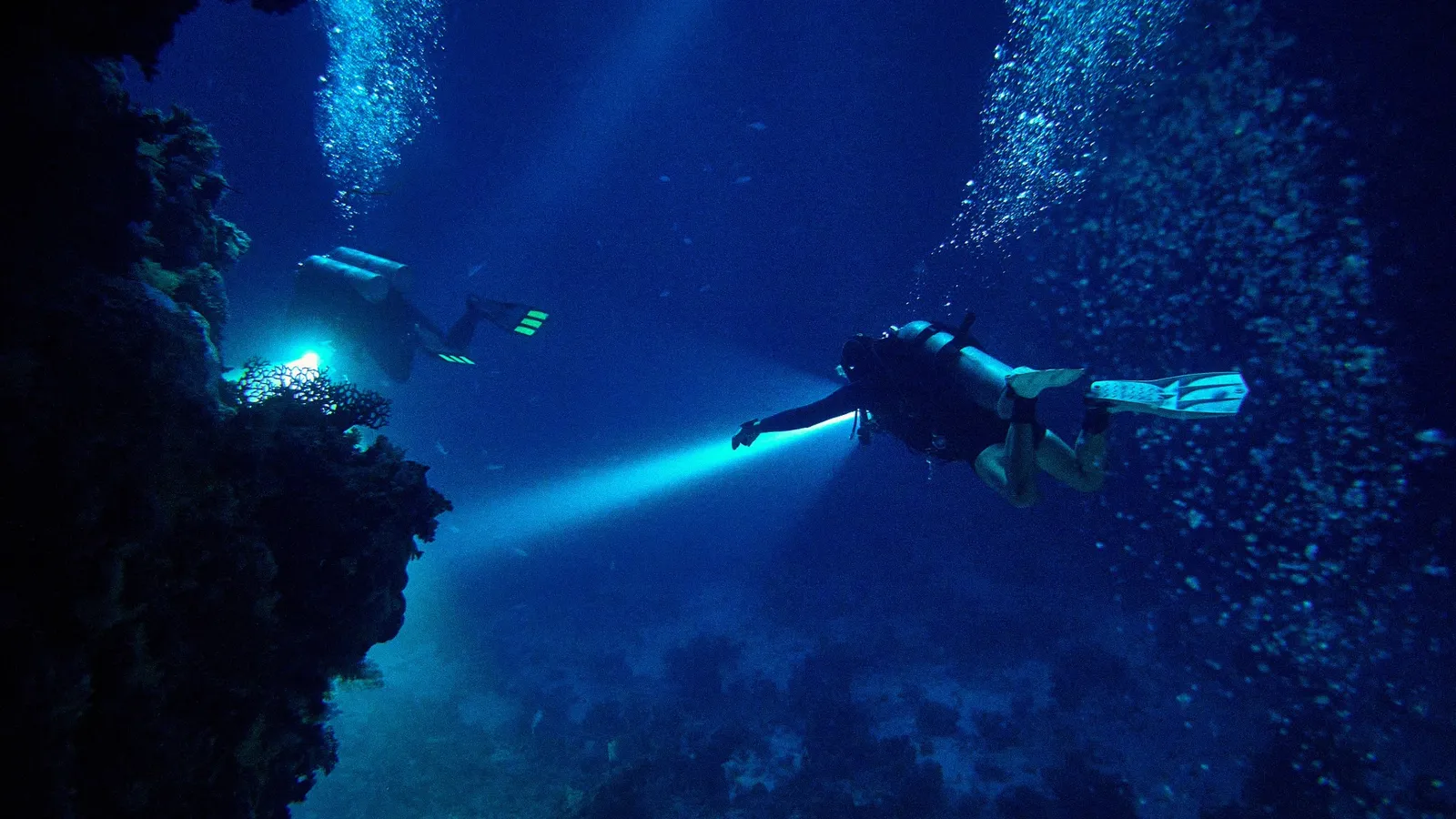 Las 4 especialidades de buceo más útiles